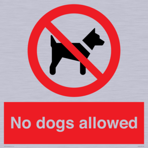 No dogs allowed